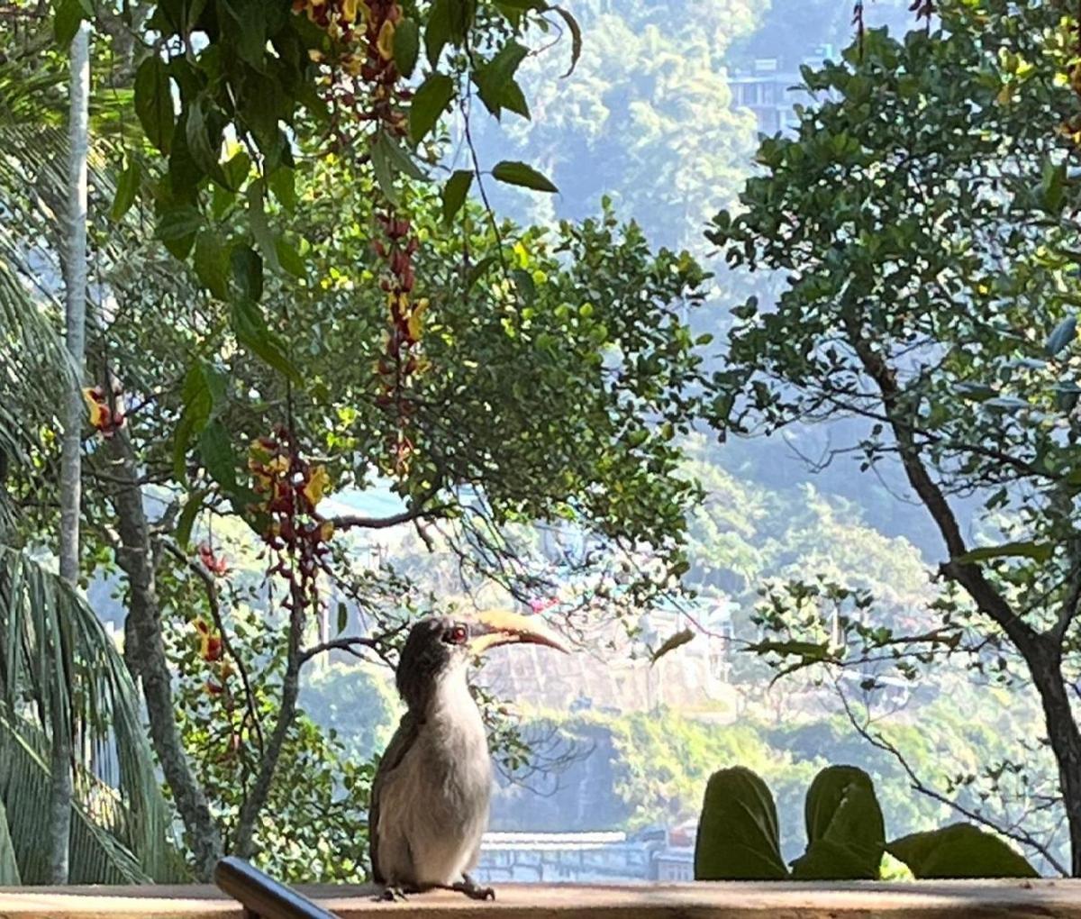 Ella Rawana Resort Bagian luar foto